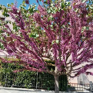 Via Della Musica Appartamento Vicchio